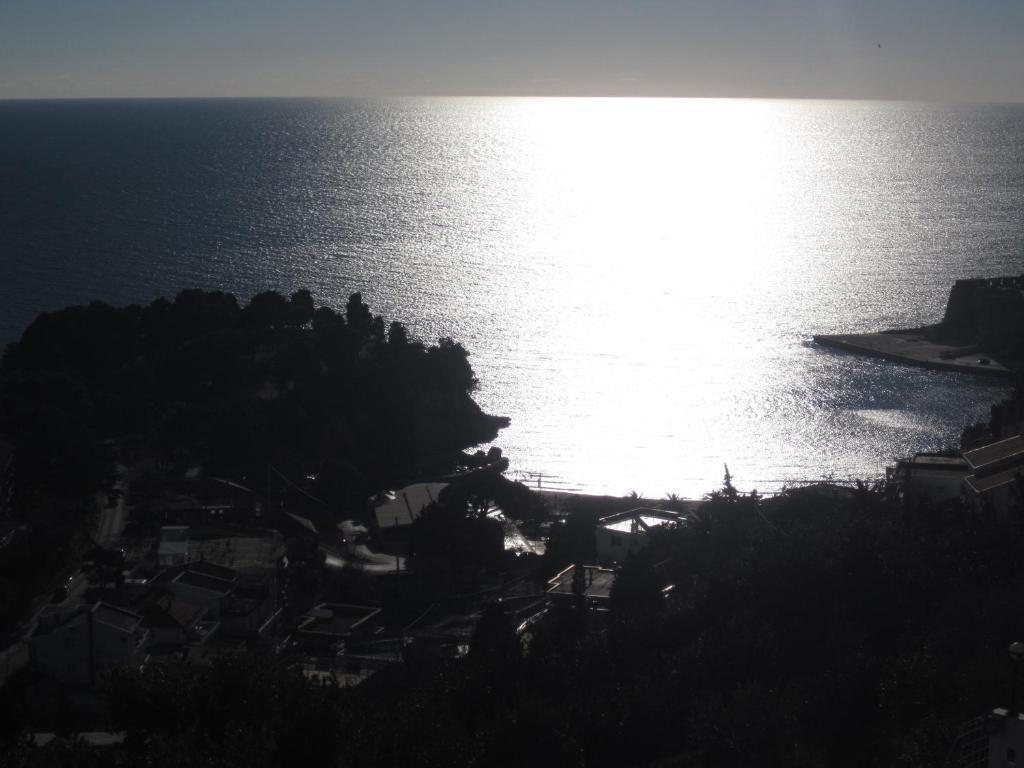Adriatic Apartment